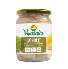 JACKFRUIT 500 gr BIO...