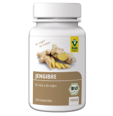 JENGIBRE 360 comp 250 mg BIO *RAAB
