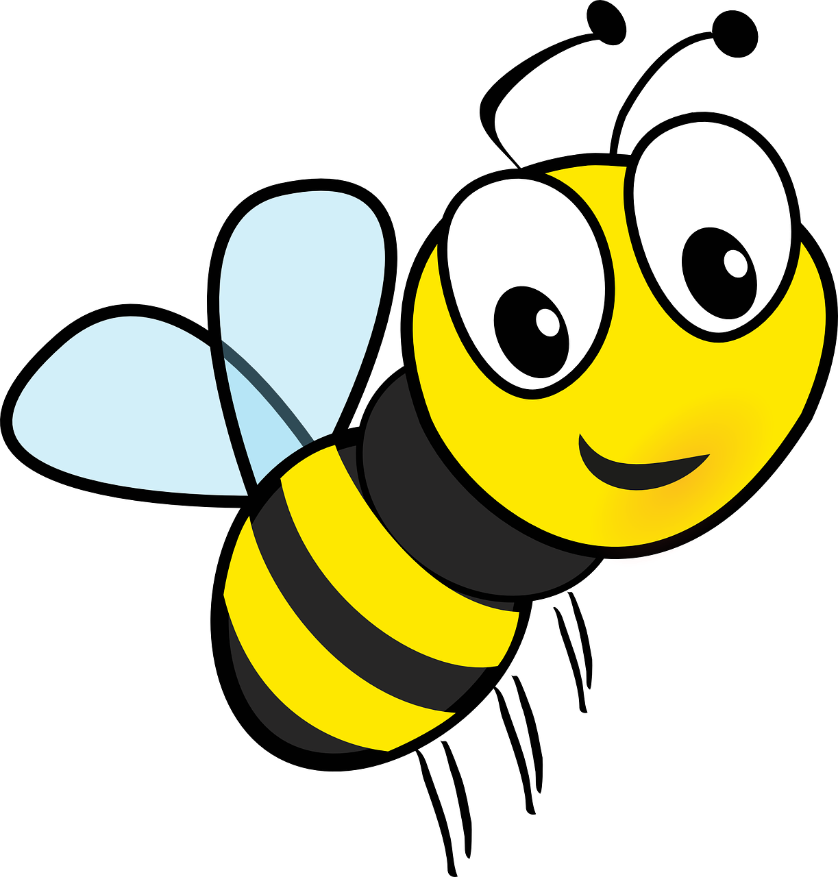 offer-banner1.jpg